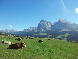 Apartamento de vacaciones St. Ulrich in Gröden Entorno 32