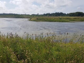 Maison de vacances Løkken  17
