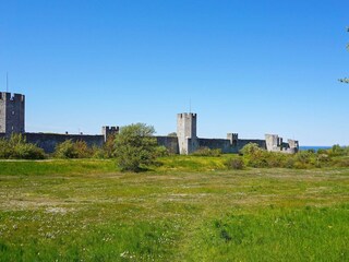 Maison de vacances Visby  21
