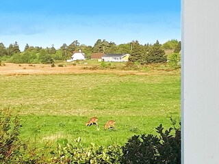 Holiday house Kongsmark  25