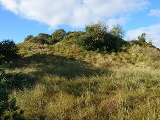 Ferienhaus Kongsmark  27