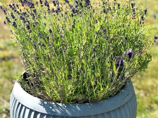 Vakantiehuis Backaryd Buitenaudio-opname 5