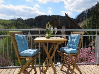 Apartamento de vacaciones Pleisweiler-Oberhofen Grabación al aire libre 24