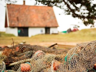 Casa per le vacanze Degeberga  10