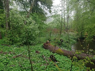 Vakantiehuis Degeberga  17