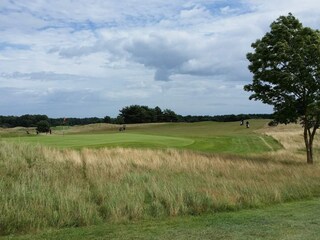 Ferienhaus Degeberga  26