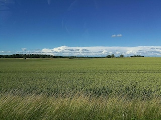 Holiday house Degeberga  15