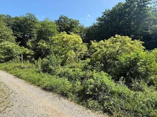 Casa de vacaciones Kirke Hyllinge  54