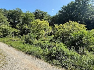 Casa per le vacanze Kirke Hyllinge  55