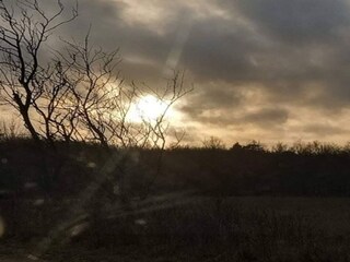 Ferienhaus Dannemare Außenaufnahme 6