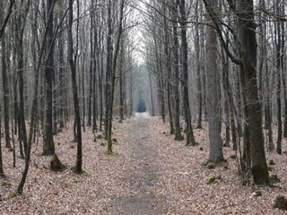 Casa de vacaciones Dannemare Grabación al aire libre 1