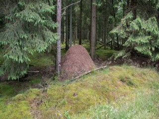 Vakantiehuis Dannemare Buitenaudio-opname 5