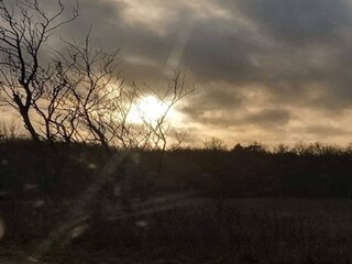 Ferienhaus Dannemare Außenaufnahme 15