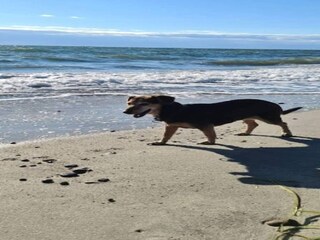 Holiday house Dannemare Outdoor Recording 23