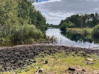 Casa per le vacanze Dannemare Registrazione all'aperto 13