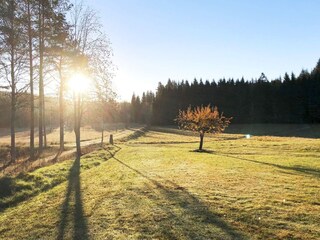 Ferienhaus Bengtsfors  19