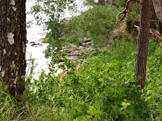 Vakantiehuis Bengtsfors  8