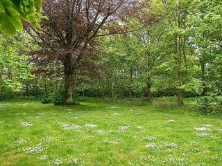 Vakantiehuis Bredebro  26
