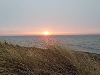 Maison de vacances Frøstrup  15