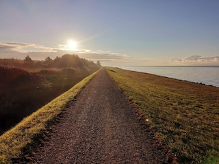 Casa per le vacanze Rødby  33