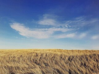 Ferienhaus Frøstrup  22