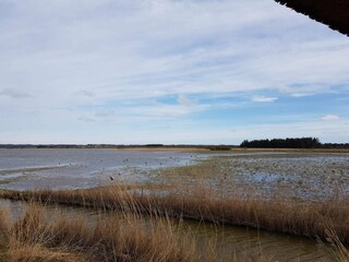Ferienhaus Frøstrup  16
