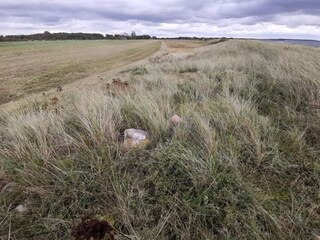 Casa de vacaciones Dannemare  31