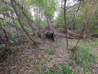 Vakantiehuis Dannemare  37