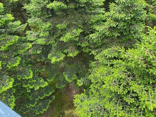 Maison de vacances Hovborg  39