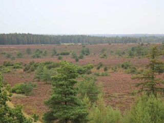 Casa per le vacanze Hovborg  20