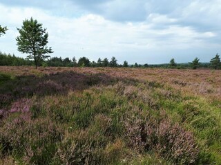 Casa per le vacanze Hovborg  28