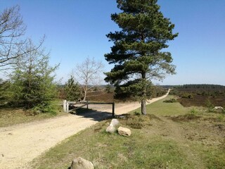 Casa per le vacanze Hovborg  12