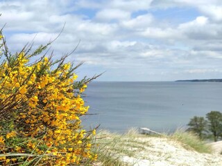Casa per le vacanze Høll  31