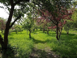 Ferienhaus Sæby  31