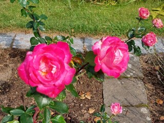 Ferienhaus Sæby  32