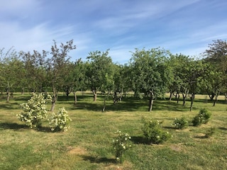 Casa de vacaciones Sæby  13