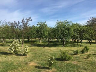 Casa per le vacanze Sæby  5
