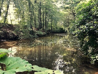 Casa de vacaciones Sæby  34