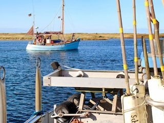 Appartement Wendtorf  12