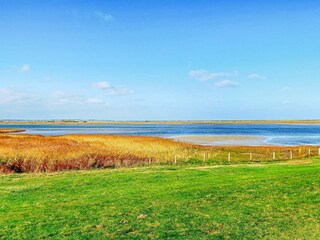 Appartement Wendtorf  29