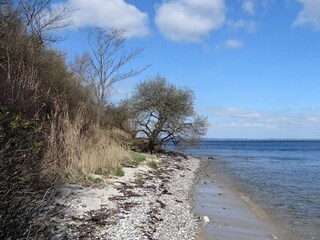 Vakantiehuis Knebel  29