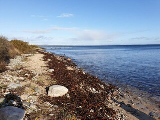 Vakantiehuis Knebel  31