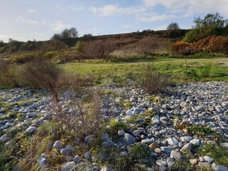 Vakantiehuis Knebel  23