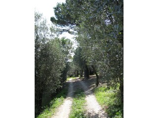 Vakantiehuis Chiavari Omgeving 8