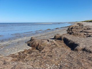 Ferienhaus Aalbæk  24
