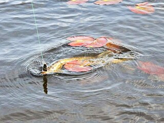 Holiday house Pålsboda  32