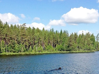 Ferienhaus Pålsboda  17