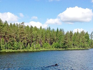 Ferienhaus Pålsboda  36