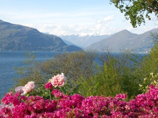 Appartamento per vacanze Porto Valtravaglia Ambiente 26