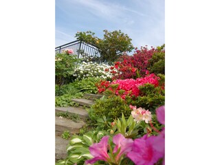 Appartamento per vacanze Porto Valtravaglia Ambiente 28